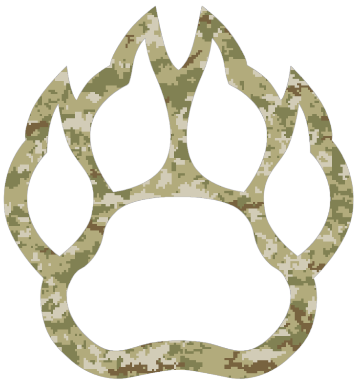 Northern Illinois Huskies Paw Print Logo Salute to Service Camouflage Camo Vinyl Decal PICK SIZE