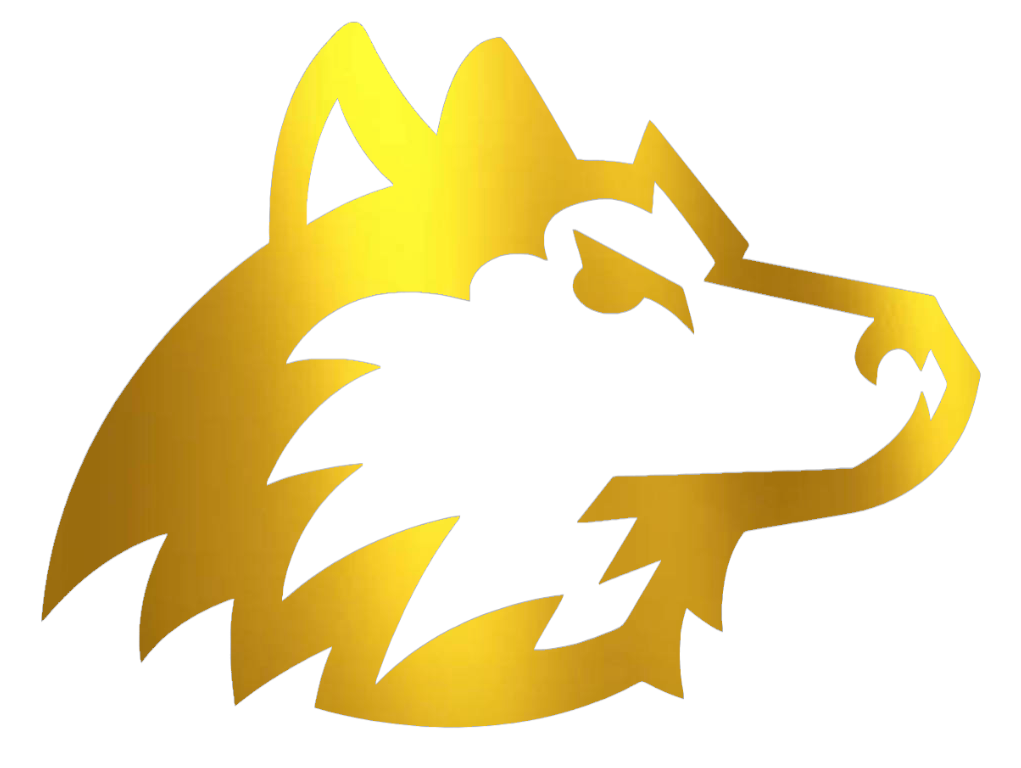 Northern Illinois Huskies GOLD CHROME MIRROR Team Logo Premium DieCut Vinyl Decal PICK SIZE