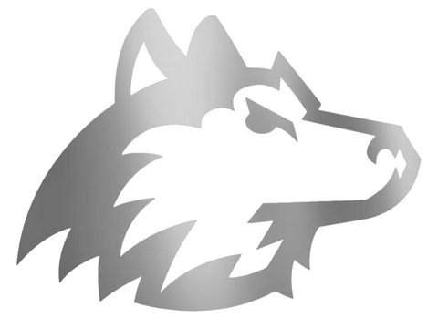Northern Illinois Huskies SILVER CHROME MIRROR Team Logo Premium DieCut Vinyl Decal PICK SIZE