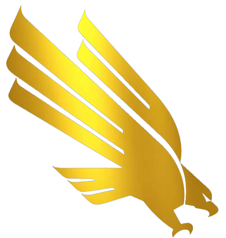 North Texas Mean Green GOLD CHROME MIRROR Team Logo Premium DieCut Vinyl Decal PICK SIZE