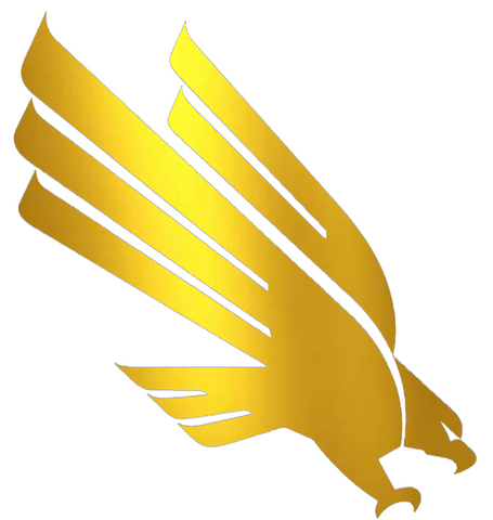 North Texas Mean Green GOLD CHROME MIRROR Team Logo Premium DieCut Vinyl Decal PICK SIZE