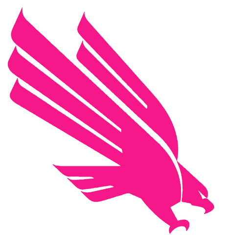 North Texas Mean Green Hot Pink Team Logo Premium DieCut Vinyl Decal PICK SIZE