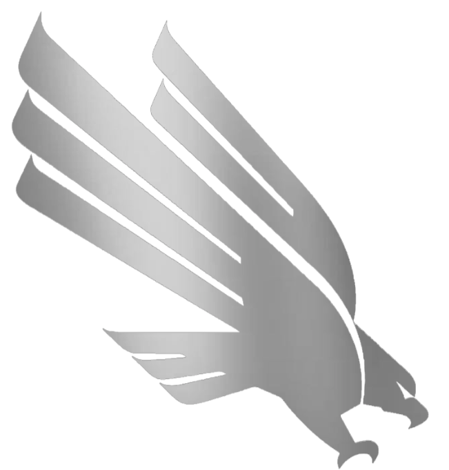 North Texas Mean Green SILVER CHROME MIRROR Team Logo Premium DieCut Vinyl Decal PICK SIZE