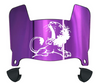 North Alabama Lions Mini Football Helmet Visor Shield w/ Clips - PICK VISOR & LOGO COLOR
