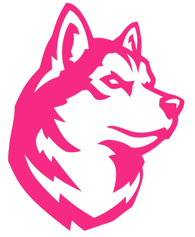 Northeastern Huskies HOT PINK Team Logo Premium DieCut Vinyl Decal PICK SIZE