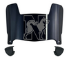Northeastern Huskies Mini Football Helmet Visor Shield w/ Clips - PICK VISOR & LOGO COLOR