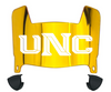 Northern Colorado Bears Mini Football Helmet Visor Shield w/ Clips - PICK VISOR & LOGO COLOR