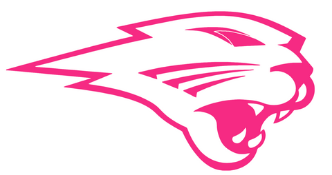 Northern Iowa Panthers HOT PINK Mascot Logo Premium DieCut Vinyl Decal PICK SIZE