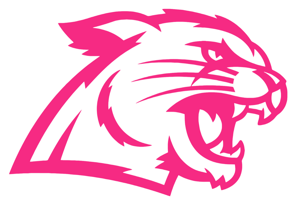 Northern Michigan Wildcats HOT PINK Mascot Logo Premium DieCut Vinyl Decal PICK SIZE