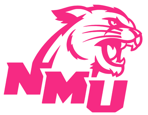 Northern Michigan Wildcats HOT PINK Team Logo Premium DieCut Vinyl Decal PICK SIZE