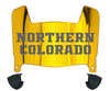 Northern Colorado Bears Mini Football Helmet Visor Shield w/ Clips - PICK VISOR & LOGO COLOR