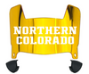 Northern Colorado Bears Mini Football Helmet Visor Shield w/ Clips - PICK VISOR & LOGO COLOR