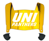 Northern Iowa Panthers Mini Football Helmet Visor Shield w/ Clips - PICK VISOR & LOGO COLOR