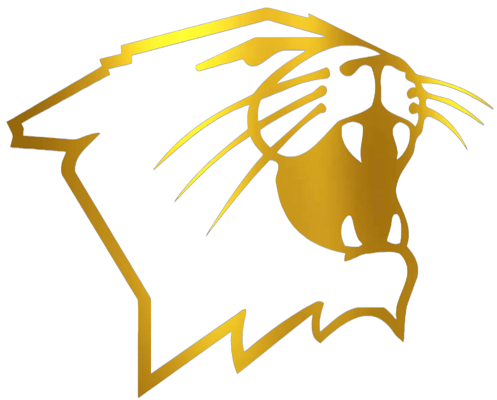 Northwestern Wildcats GOLD CHROME MIRROR Mascot Logo Premium DieCut Vinyl Decal PICK SIZE