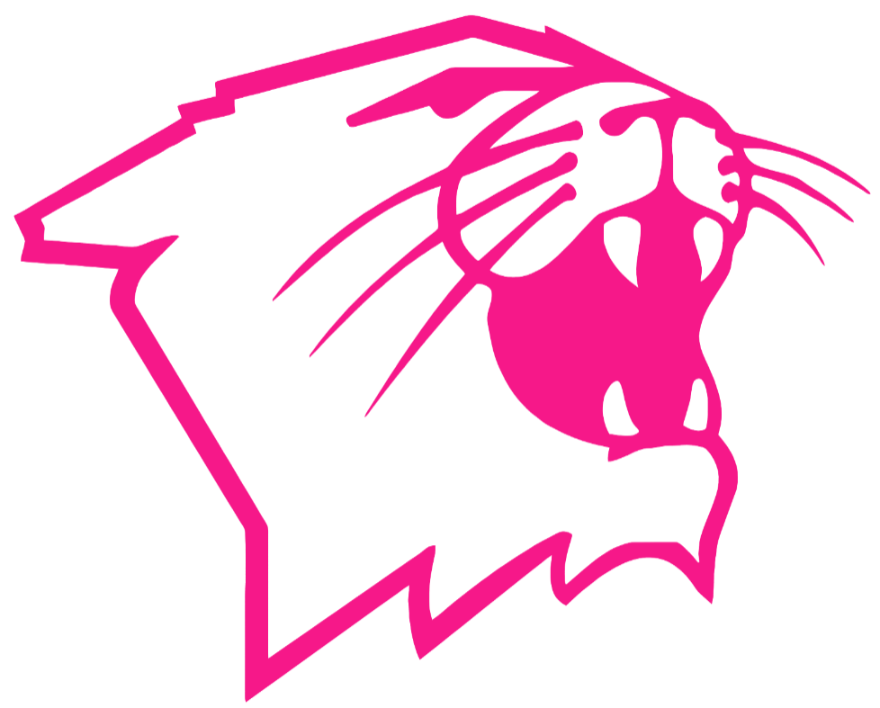 Northwestern Wildcats Hot Pink Mascot Logo Premium DieCut Vinyl Decal PICK SIZE