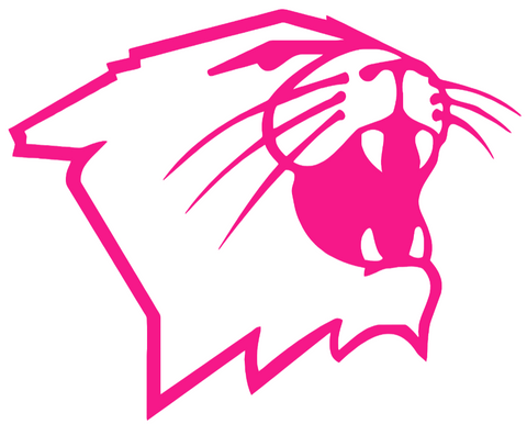 Northwestern Wildcats Hot Pink Mascot Logo Premium DieCut Vinyl Decal PICK SIZE