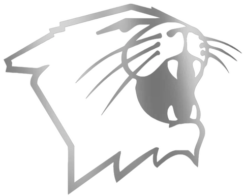 Northwestern Wildcats SILVER CHROME MIRROR Mascot Logo Premium DieCut Vinyl Decal PICK SIZE