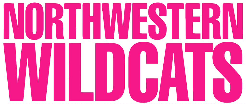 Northwestern Wildcats Hot Pink Team Name Logo Premium DieCut Vinyl Decal PICK SIZE