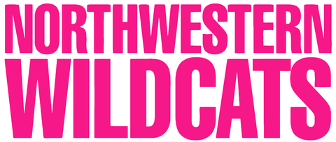 Northwestern Wildcats Hot Pink Team Name Logo Premium DieCut Vinyl Decal PICK SIZE