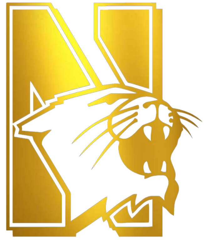 Northwestern Wildcats GOLD CHROME MIRROR Retro Throwback Logo Premium DieCut Vinyl Decal PICK SIZE