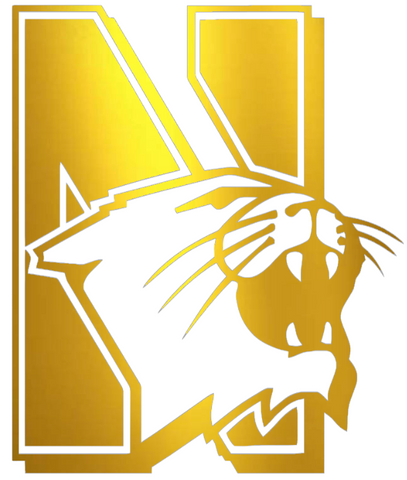 Northwestern Wildcats GOLD CHROME MIRROR Retro Throwback Logo Premium DieCut Vinyl Decal PICK SIZE
