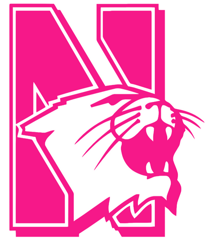 Northwestern Wildcats Hot Pink Retro Throwback Logo Premium DieCut Vinyl Decal PICK SIZE