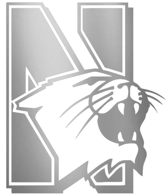 Northwestern Wildcats SILVER CHROME MIRROR Retro Throwback Logo Premium DieCut Vinyl Decal PICK SIZE