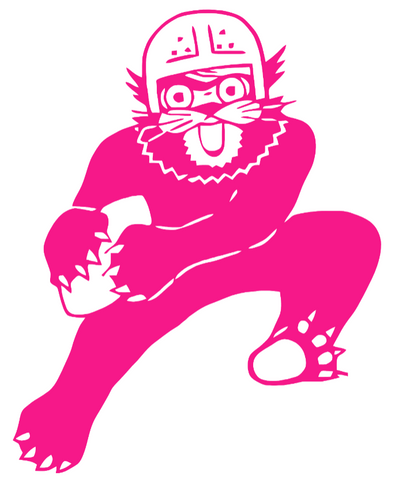Northwestern Wildcats Hot Pink Retro Throwback Logo Premium DieCut Vinyl Decal PICK SIZE