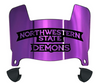 Northwestern State Demons Mini Football Helmet Visor Shield w/ Clips - PICK VISOR & LOGO COLOR