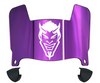 Northwestern State Demons Mini Football Helmet Visor Shield w/ Clips - PICK VISOR & LOGO COLOR