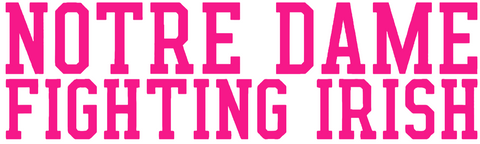 Notre Dame Fighting Irish Hot Pink Team Name Logo Premium DieCut Vinyl Decal PICK SIZE