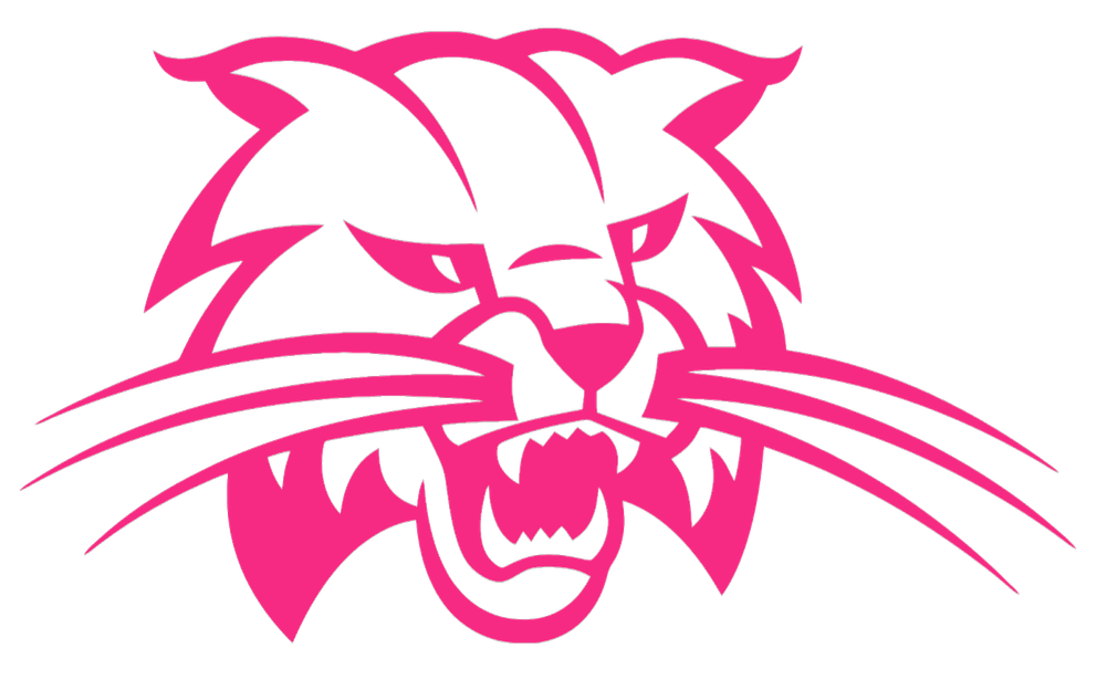 Ohio Bobcats HOT PINK Mascot Logo Premium DieCut Vinyl Decal PICK SIZE
