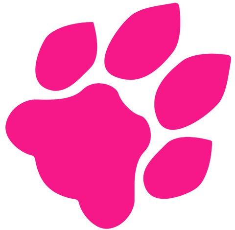 Ohio Bobcats HOT PINK Retro Throwback Logo Premium DieCut Vinyl Decal PICK SIZE