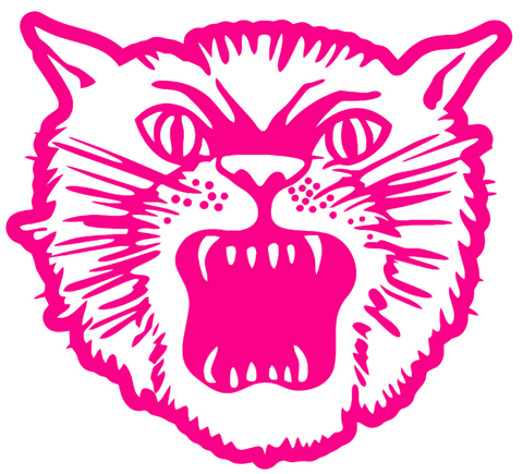 Ohio Bobcats HOT PINK Retro Throwback Logo Premium DieCut Vinyl Decal PICK SIZE