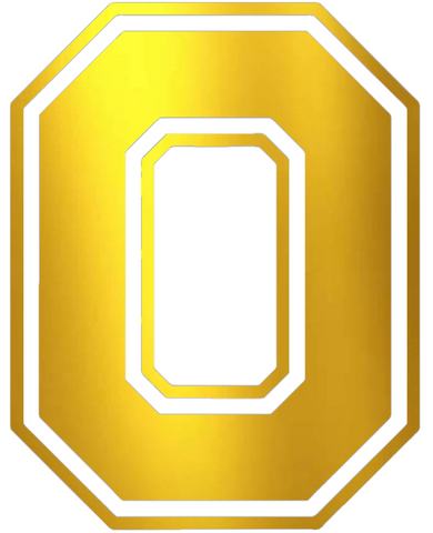 Ohio State Buckeyes GOLD CHROME MIRROR Alternate Logo Premium DieCut Vinyl Decal PICK SIZE