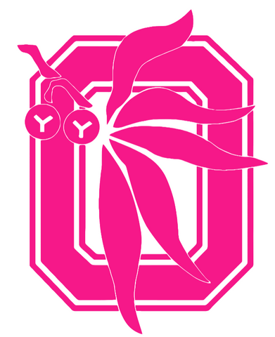 Ohio State Buckeyes Hot Pink Retro Throwback Logo Premium DieCut Vinyl Decal PICK SIZE