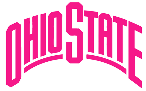 Ohio State Buckeyes Hot Pink Team Name Logo Premium DieCut Vinyl Decal PICK SIZE