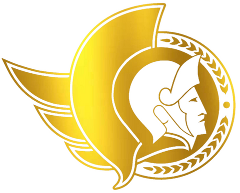 Ottawa Senators GOLD CHROME MIRROR Team Logo Premium DieCut Vinyl Decal PICK SIZE