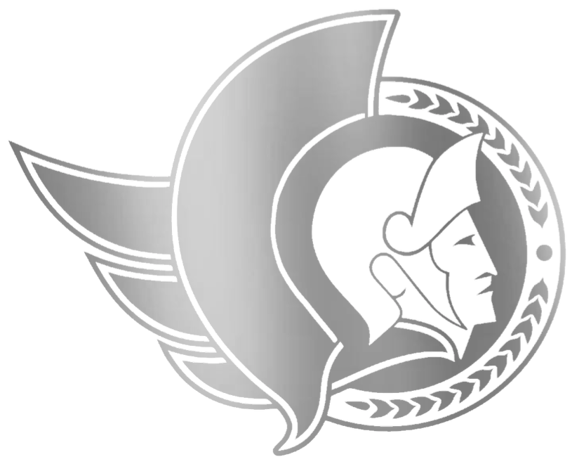 Ottawa Senators SILVER CHROME MIRROR Team Logo Premium DieCut Vinyl Decal PICK SIZE