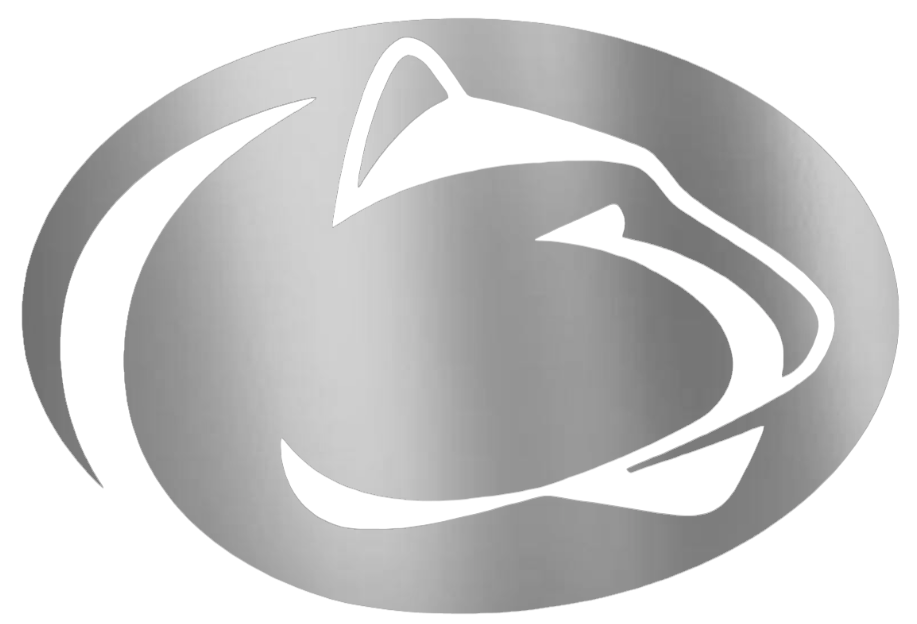 Penn State Nittany Lions SILVER CHROME MIRROR Team Logo Premium DieCut Vinyl Decal PICK SIZE