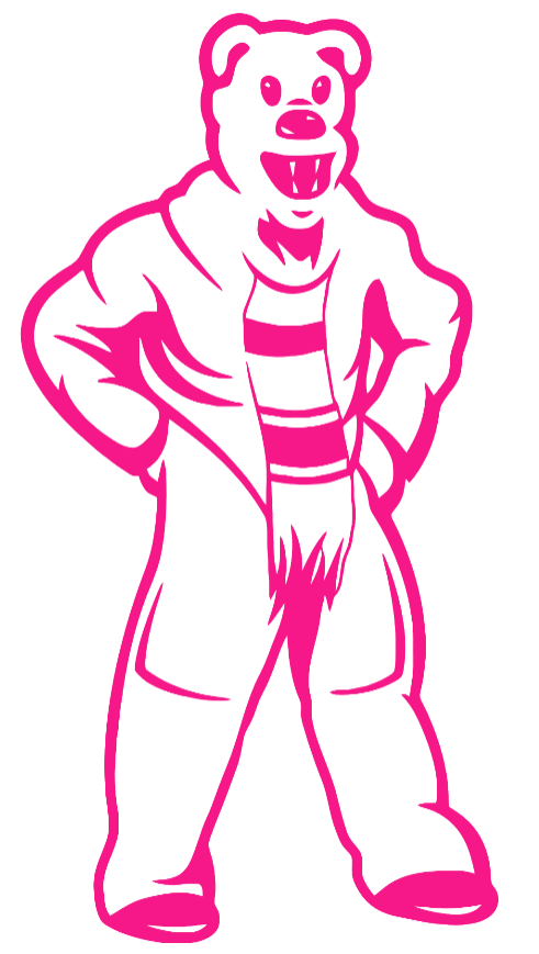 Penn State Nittany Lions Hot Pink Mascot Logo Premium DieCut Vinyl Decal PICK SIZE