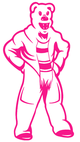 Penn State Nittany Lions Hot Pink Mascot Logo Premium DieCut Vinyl Decal PICK SIZE
