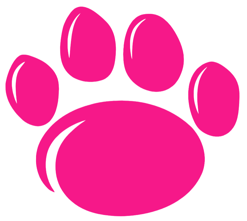 Penn State Nittany Lions Hot Pink Paw Print Logo Premium DieCut Vinyl Decal PICK SIZE