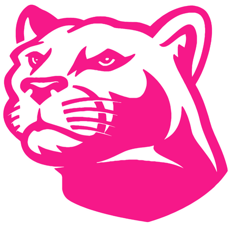 Penn State Nittany Lions Hot Pink Retro Throwback Logo Premium DieCut Vinyl Decal PICK SIZE