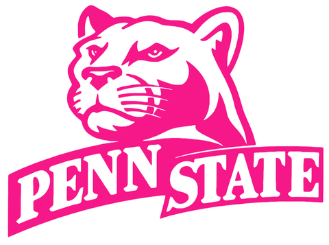 Penn State Nittany Lions Hot Pink Retro Throwback Logo Premium DieCut Vinyl Decal PICK SIZE