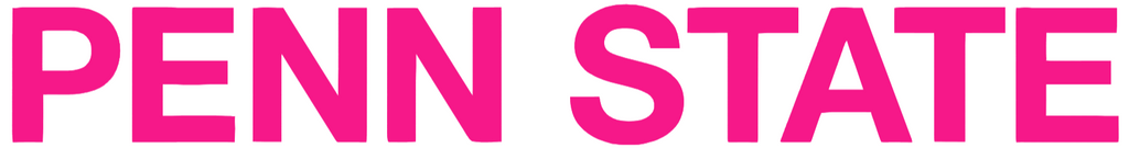 Penn State Nittany Lions Hot Pink Team Name Logo Premium DieCut Vinyl Decal PICK SIZE