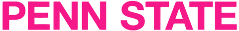Penn State Nittany Lions Hot Pink Team Name Logo Premium DieCut Vinyl Decal PICK SIZE