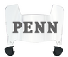 Penn Quakers Mini Football Helmet Visor Shield w/ Clips - PICK VISOR & LOGO COLOR