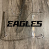 Philadelphia Eagles Full Size Football Helmet Visor Shield Clear w/ Clips - PICK LOGO COLOR