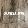 Philadelphia Eagles Full Size Football Helmet Visor Shield Clear w/ Clips - PICK LOGO COLOR